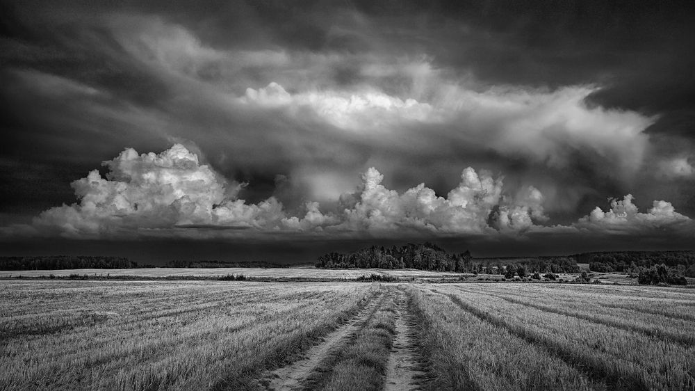 Photograph by Александр Никитинский