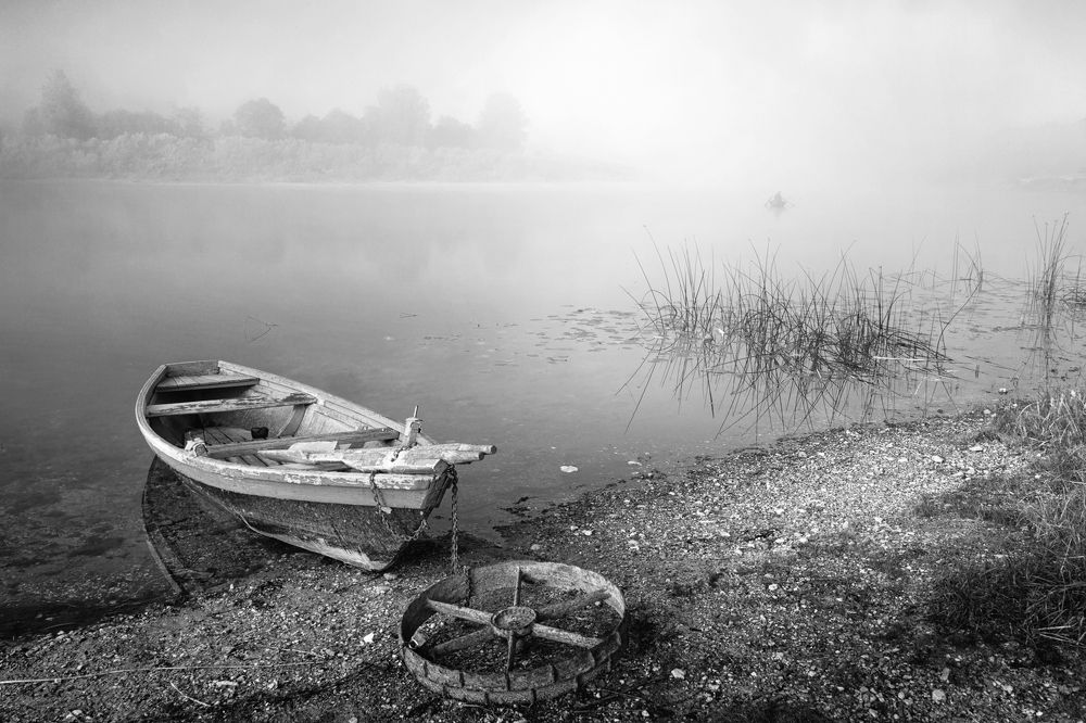 Photograph by Александр Никитинский