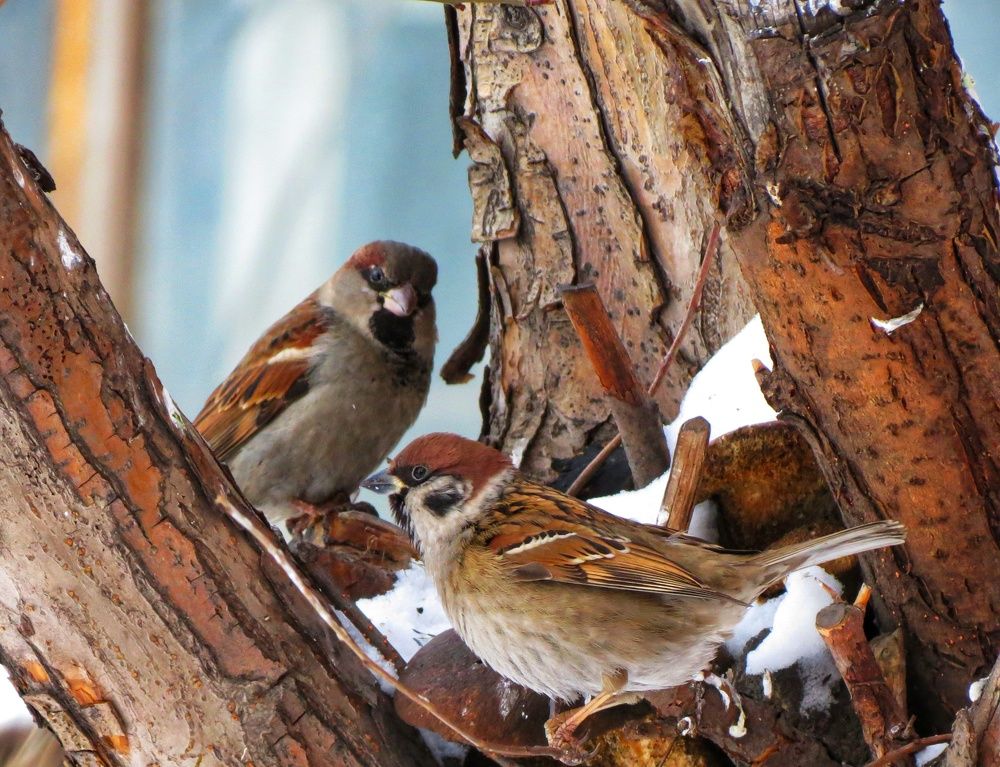 Photo #7699029