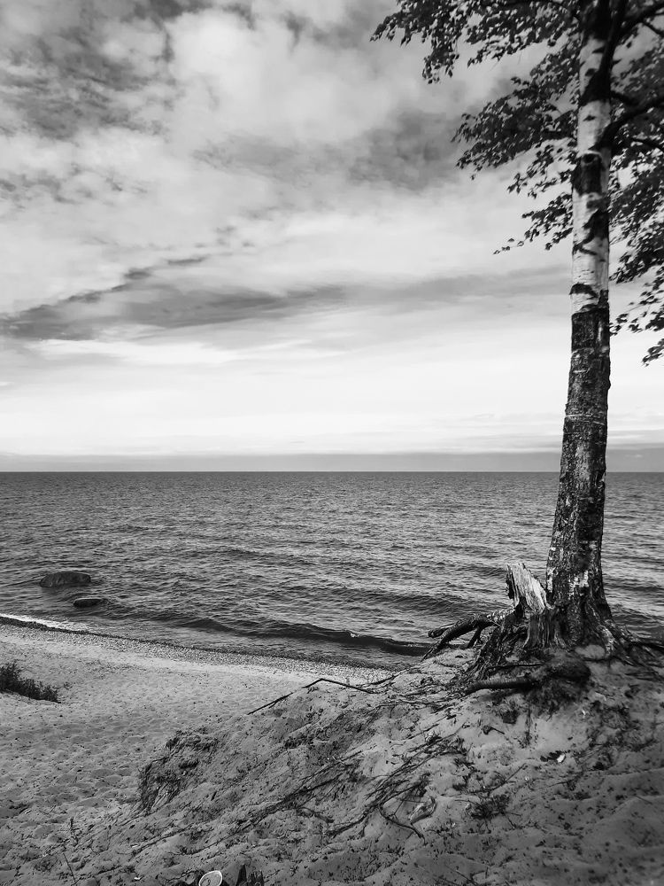 Photograph by Анастасия Кравченко