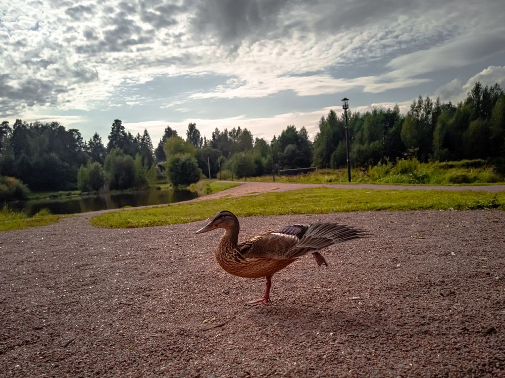 Photograph by Александр Безуглый