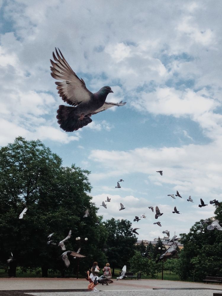 Photograph by Людмила Евстратова