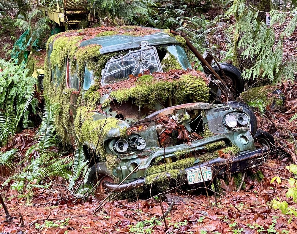 Photograph by Микова Юлия