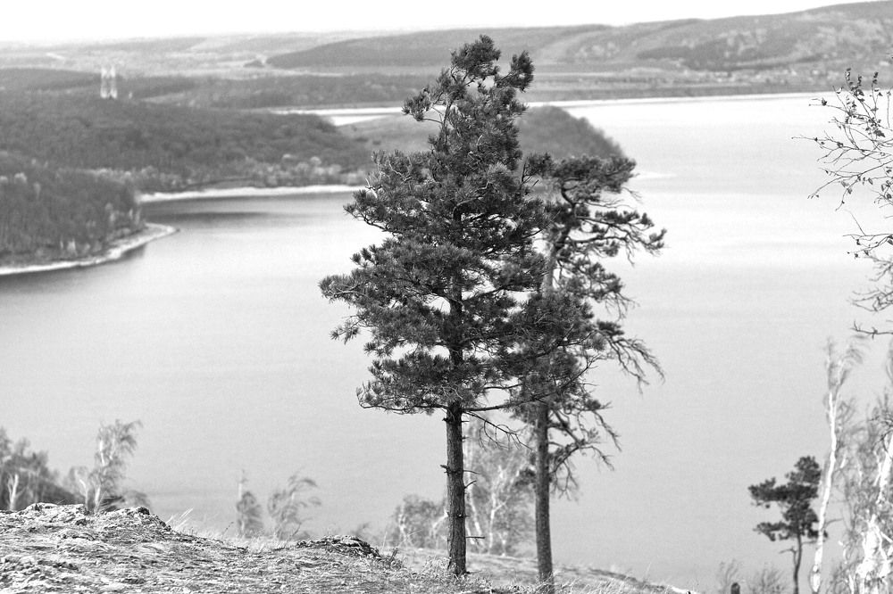 Photograph by Оксана