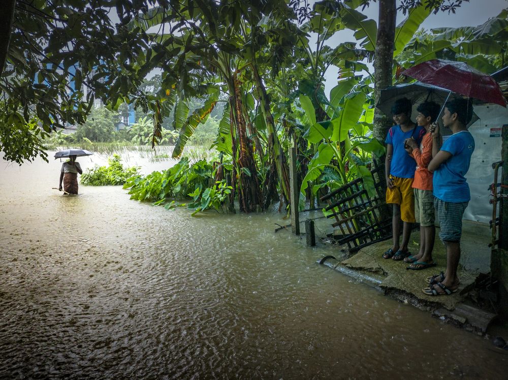 Photograph by Koushik Patra