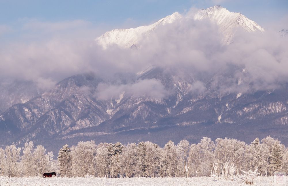 Photograph by Евгений Кузьмин