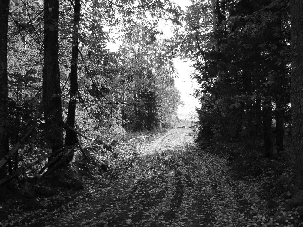 Photograph by Анастасия Мукоида