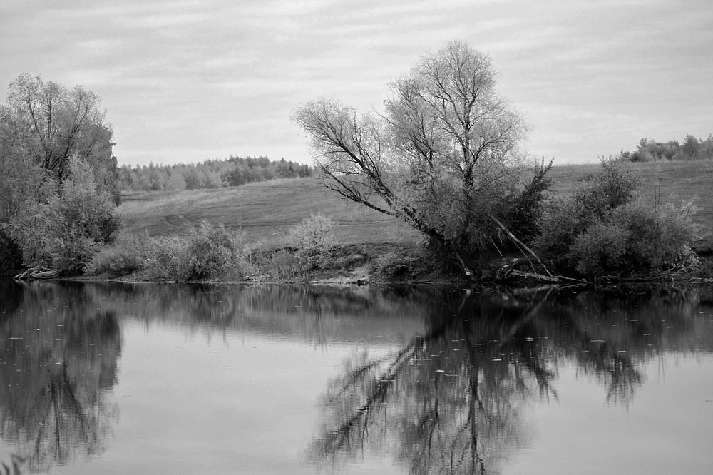 Photograph by Оксана