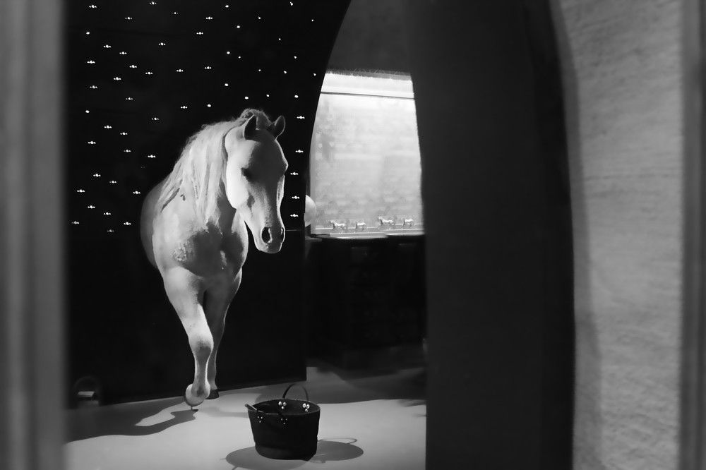 Photograph by Lena Feldman