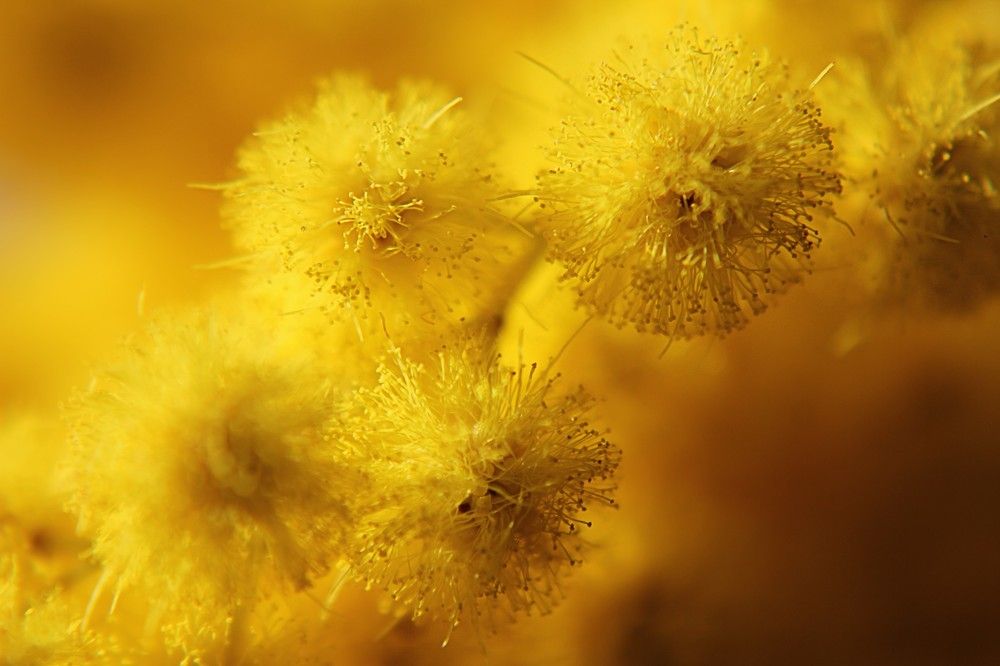 Photograph by Lena Feldman