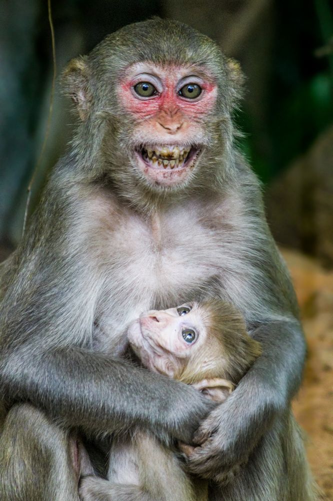 Фотография автора Kuramana Ashok Kumar