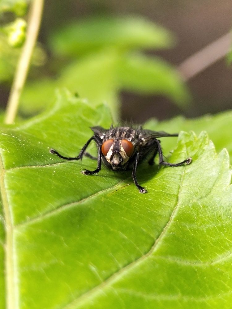 Photograph by Александр Быкадоров