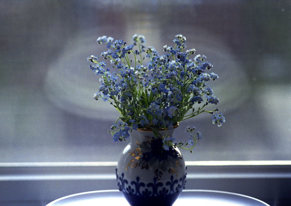 Натюрморт...в голубом...