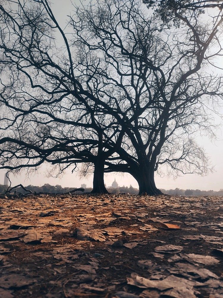 Photograph by Riya Halder