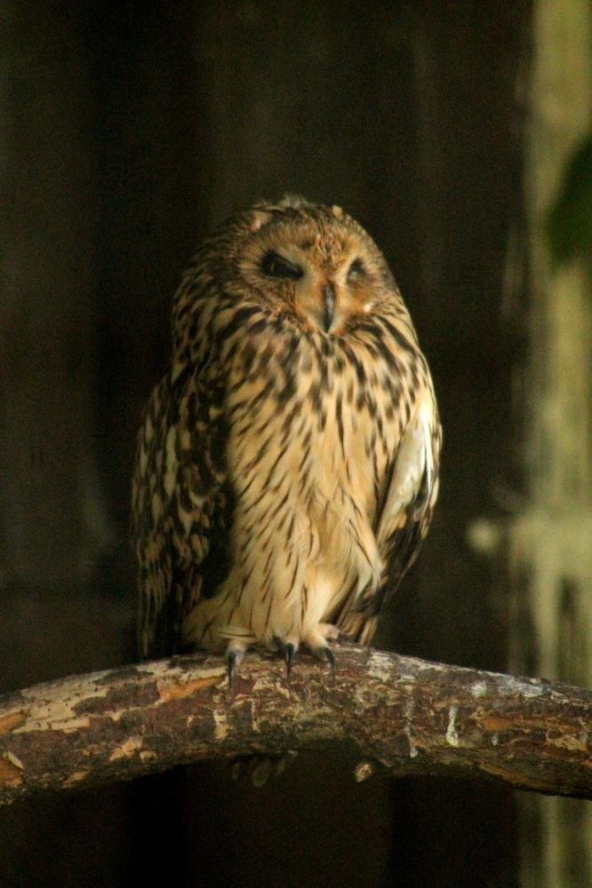 Photograph by Александр Быкадоров