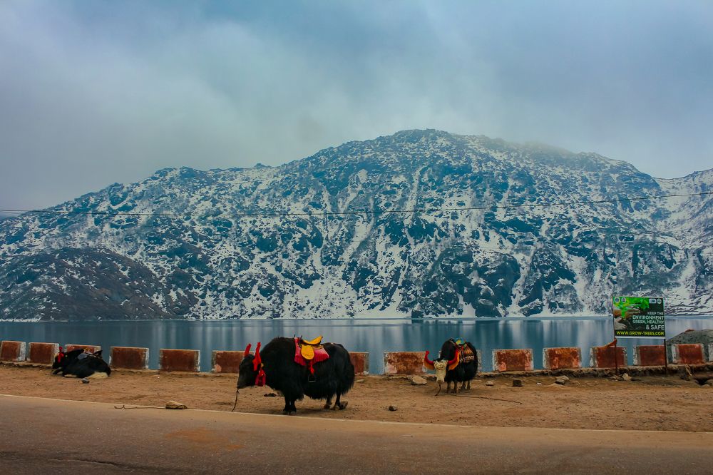 Photograph by Subhasis Das