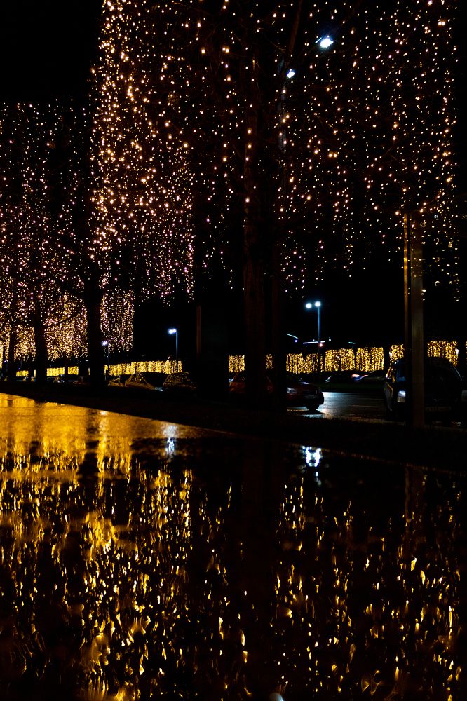 Photograph by Ольга Абрамова