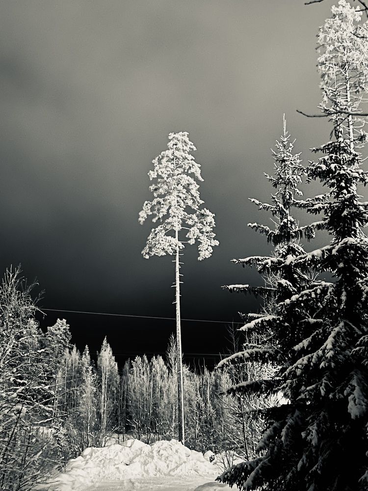 Photograph by Анна Кавка