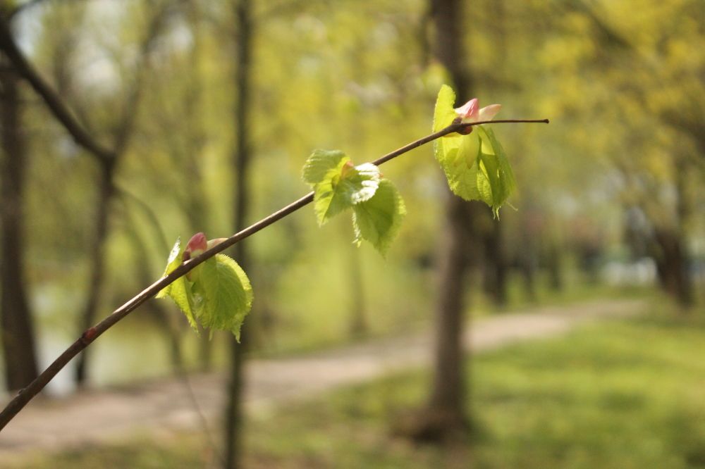 Photograph by Александр Быкадоров