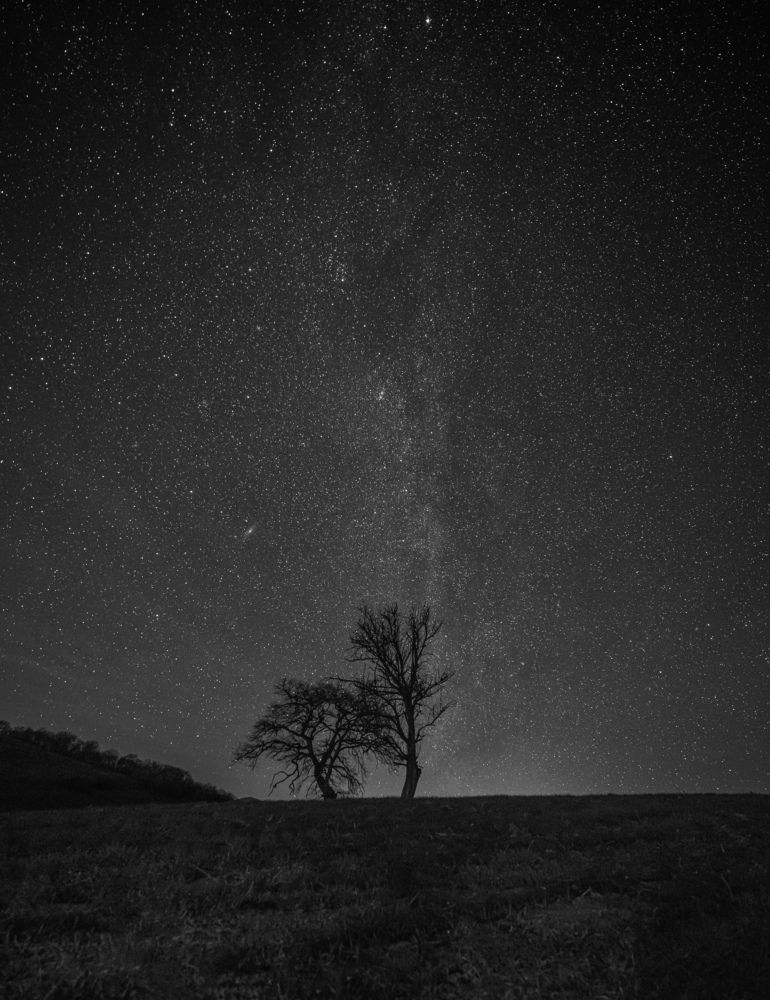 Фотография автора Севак Асрян