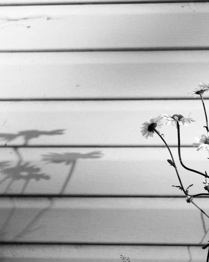 Photograph by Татьяна Аршинова