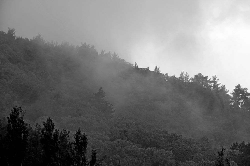 Photograph by Александр Бугаенко