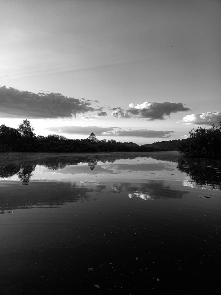 Photograph by Svetlana Yurasova