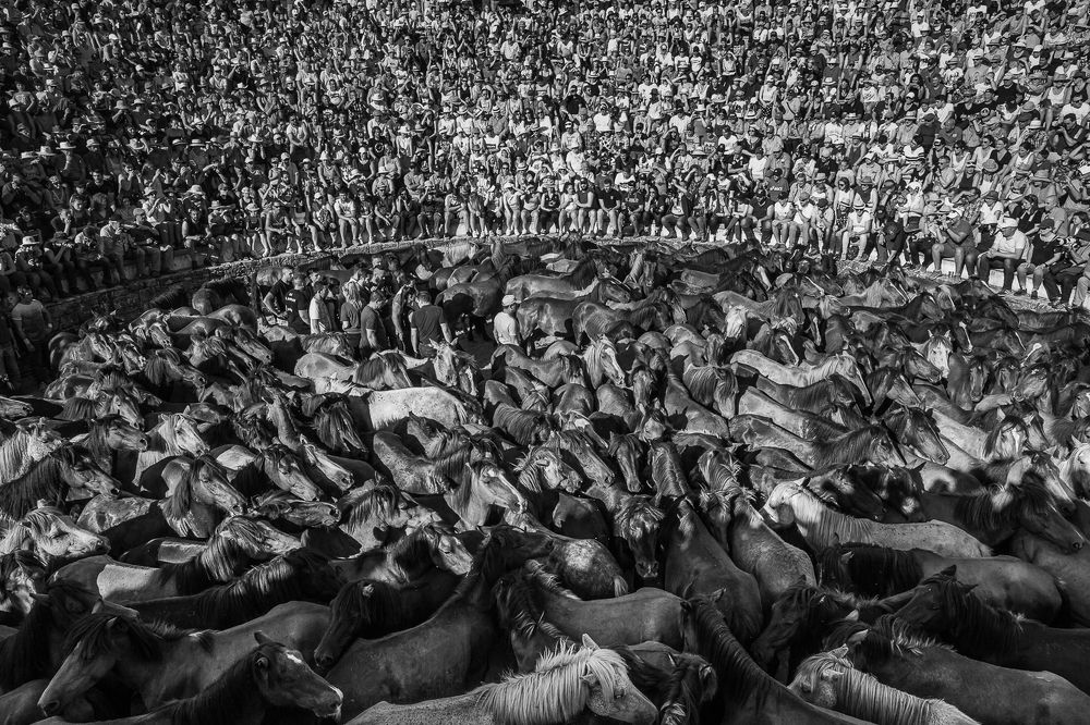 Photograph by Carlos Carreto