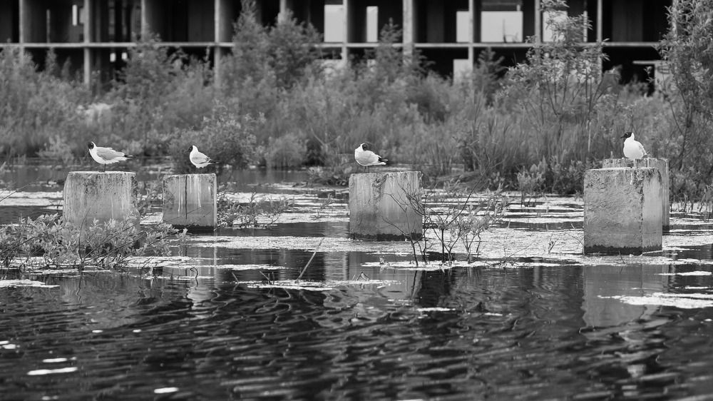 Фотография автора Полина Амелина