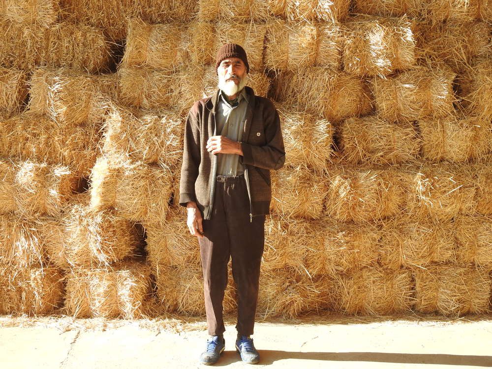 Photograph by Morteza Beiglou