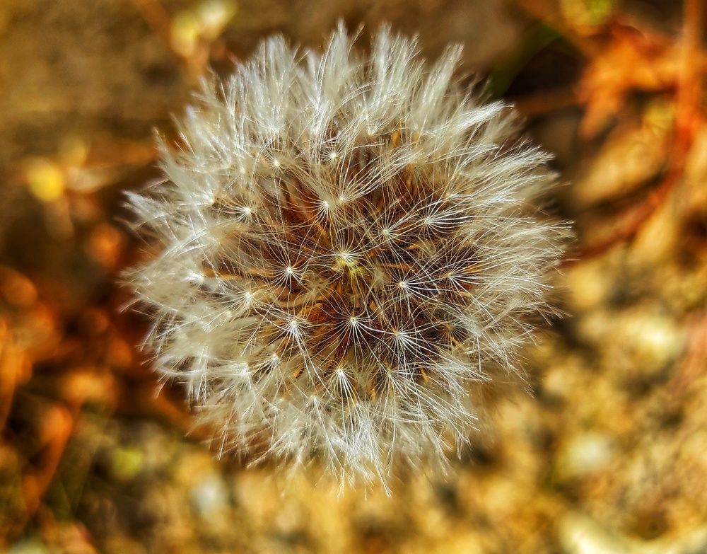 Photograph by Mohammad Ali Ataei Daryaei