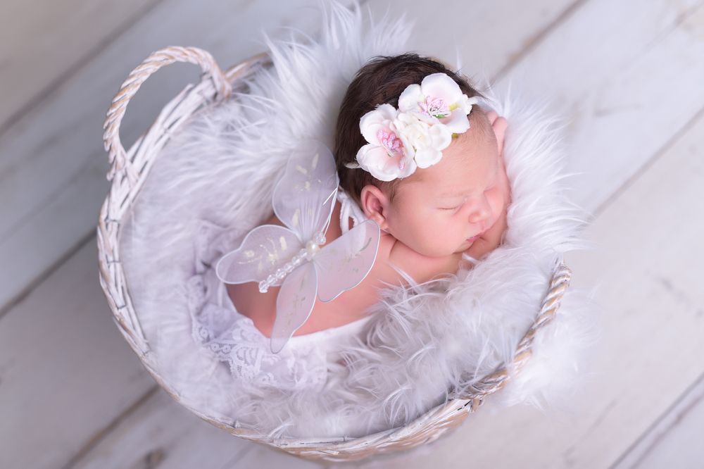 Фотография автора Katerina Zlateva