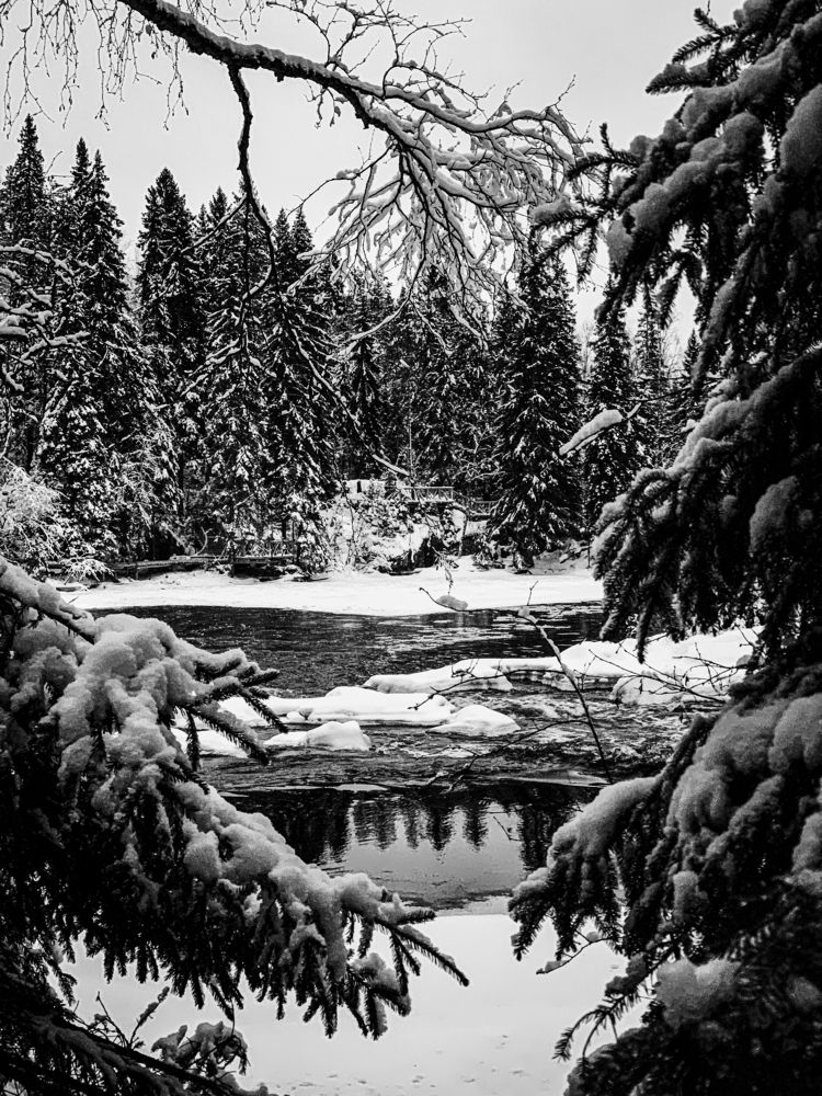 Photograph by Sergey Anfalov