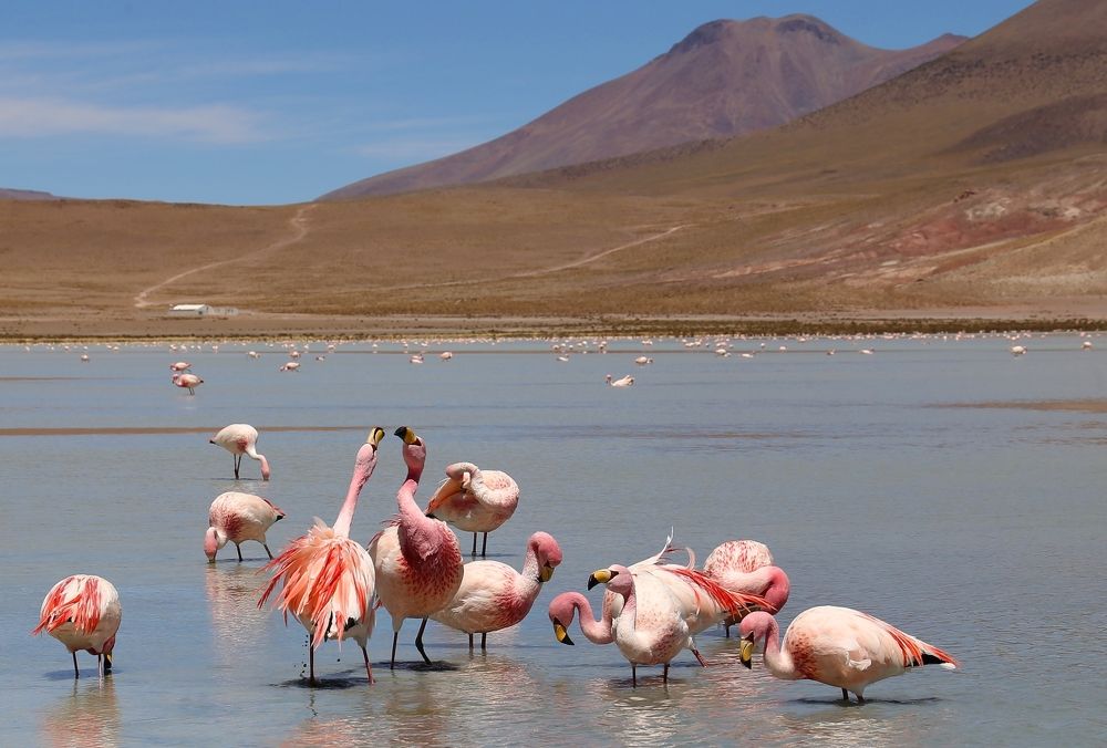 Photograph by Диана Жагрина