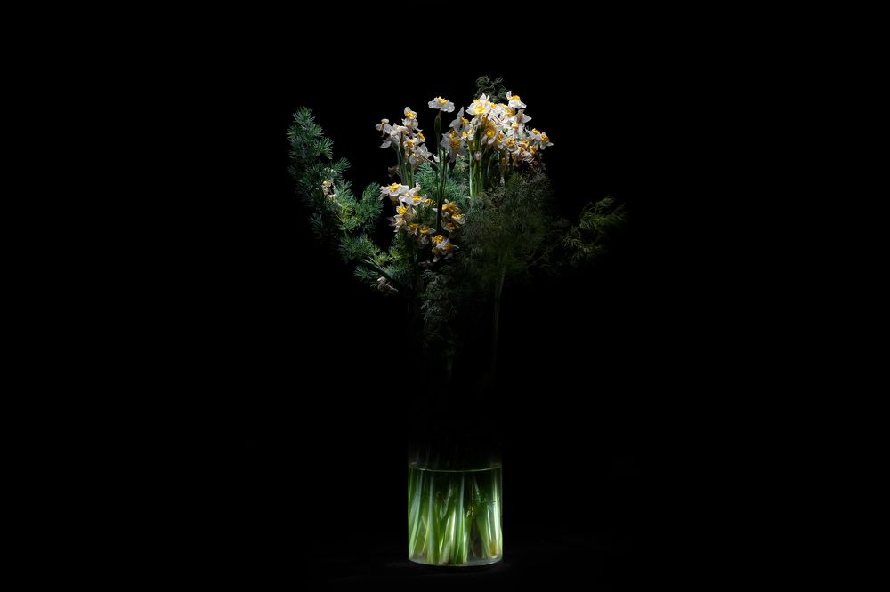 Photograph by Changiz Jalayer
