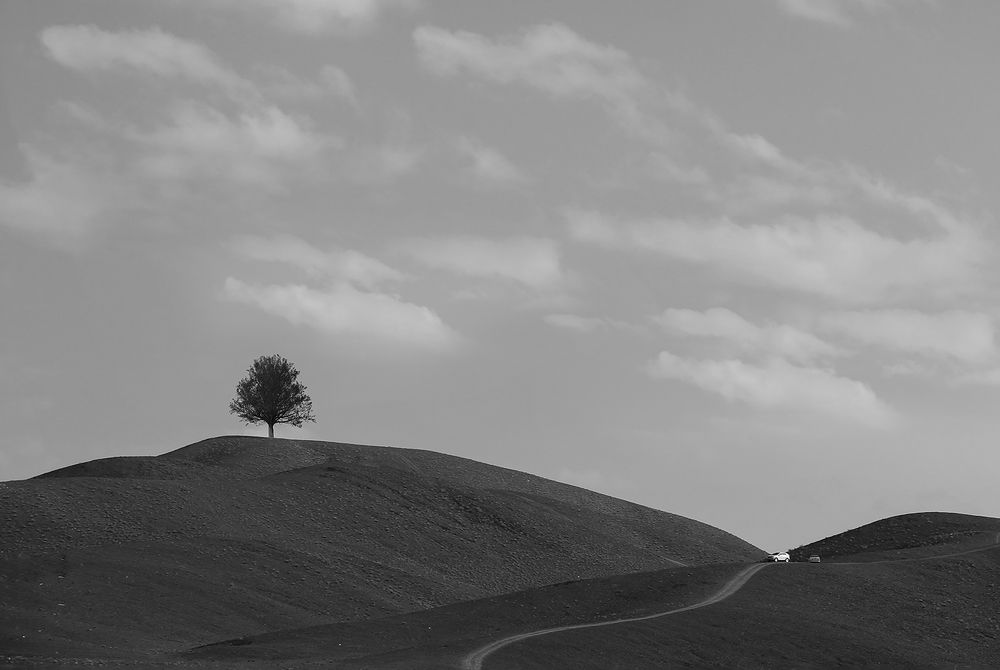 Photograph by Masoumeh Mahmoudi