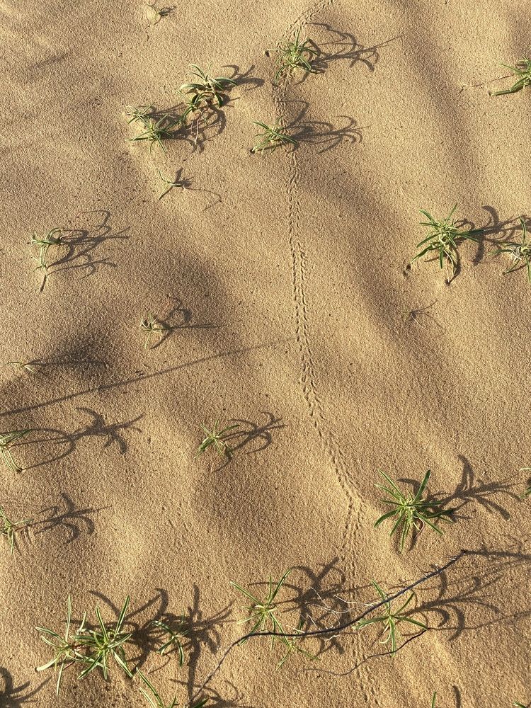 Photograph by Ольга Козлова