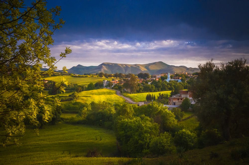 Spring in the village