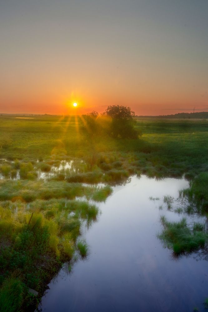 Photograph by Новиков Александр