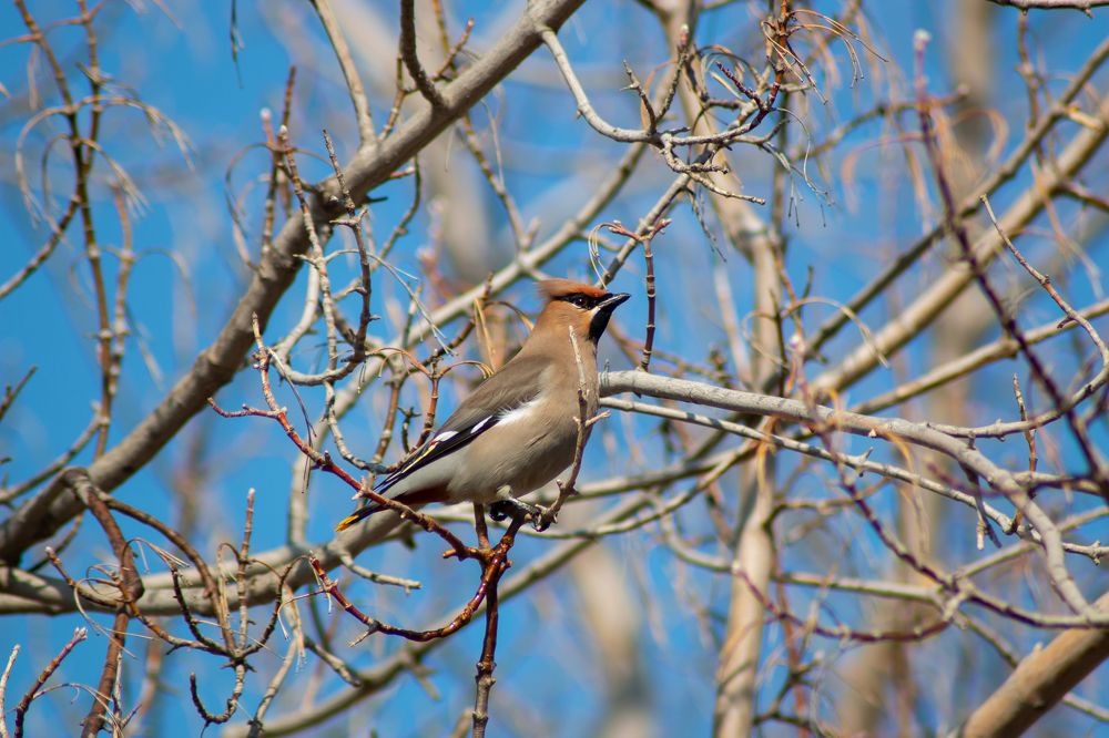 Photograph by Рослякова Елена