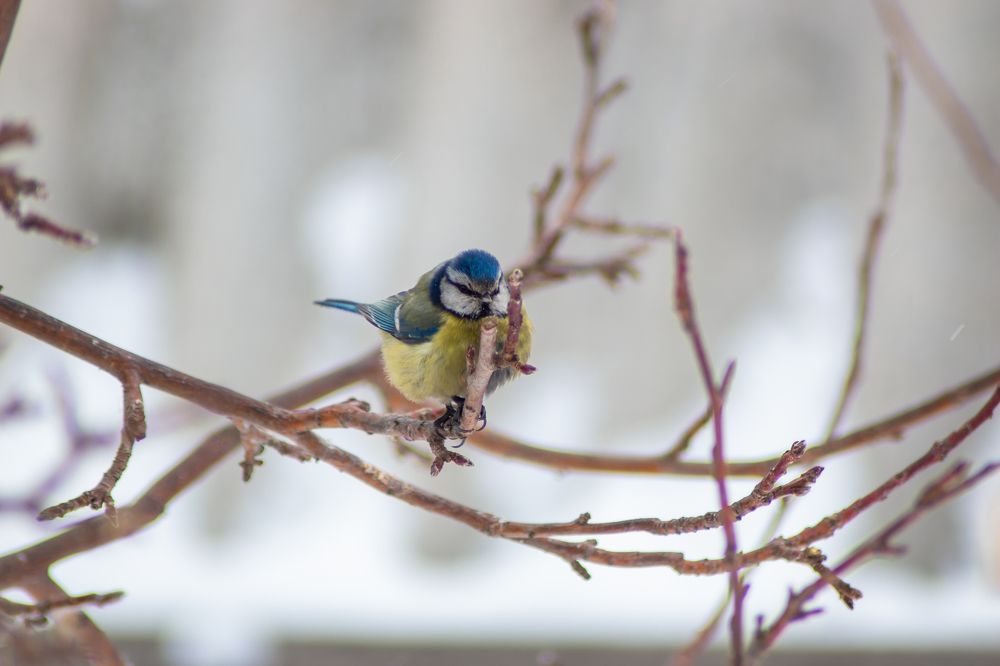 Photograph by Рослякова Елена