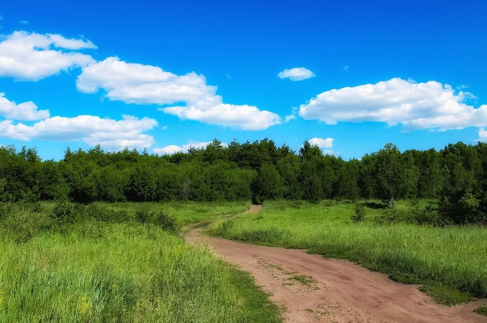 Photograph by Эльвира Куликова