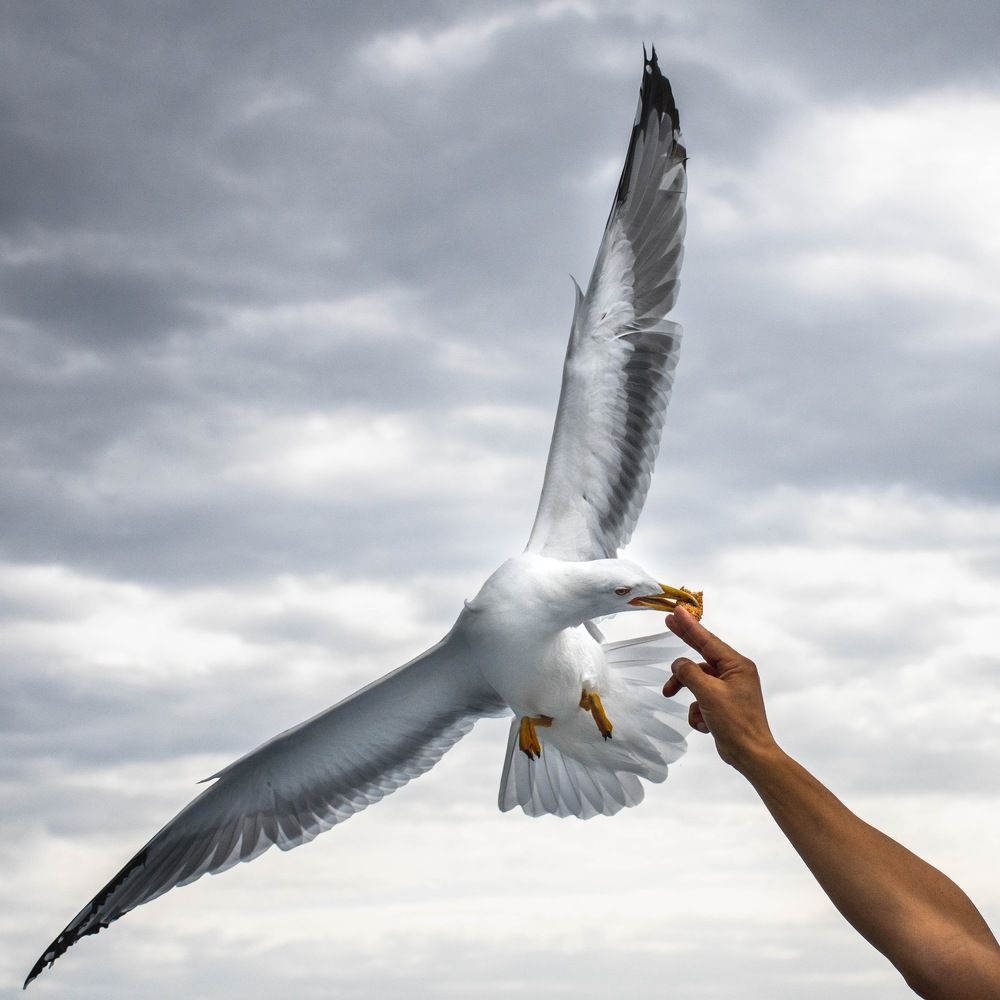 Photograph by Andreas Symeonidis