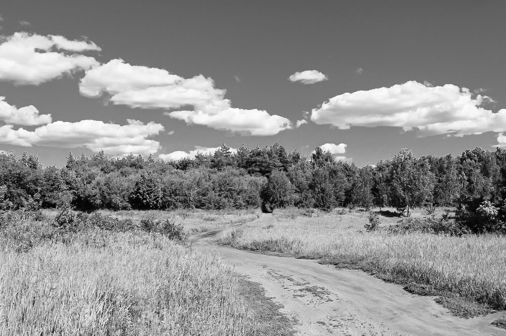 Photograph by Эльвира Куликова