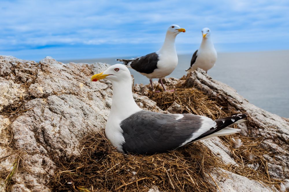 Фотография автора Артур Петросян