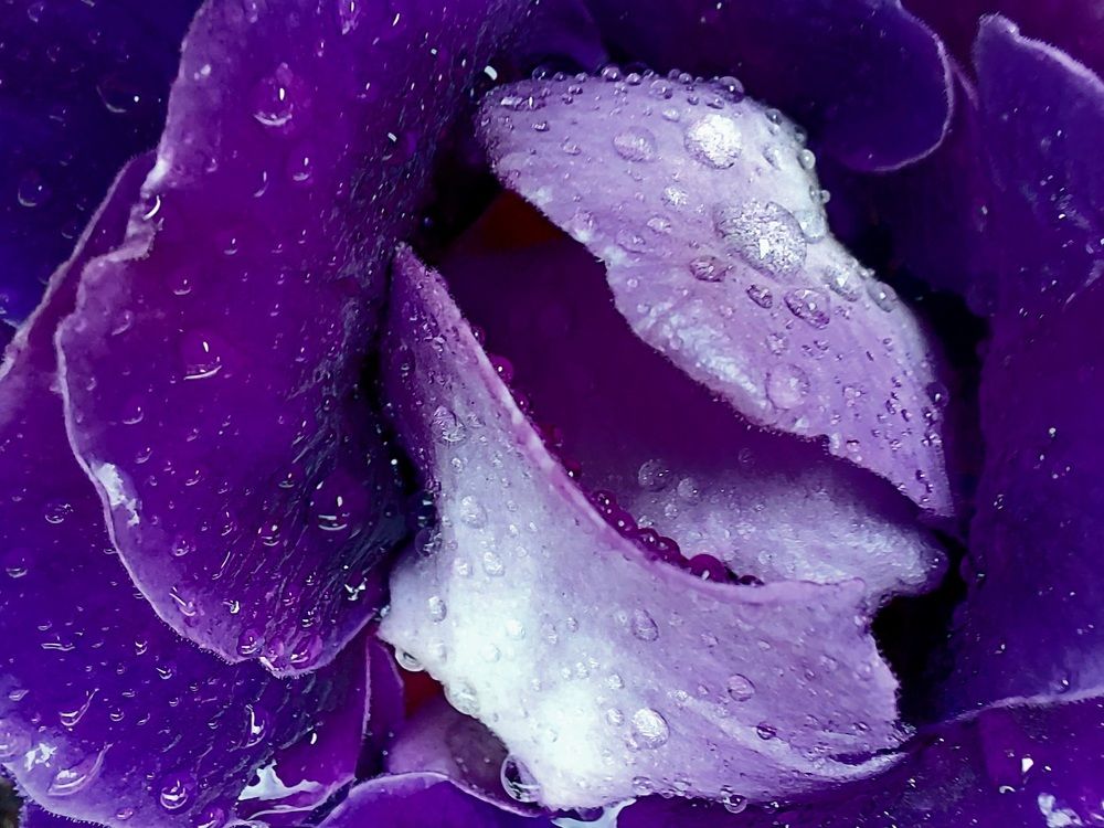 Photograph by Элис