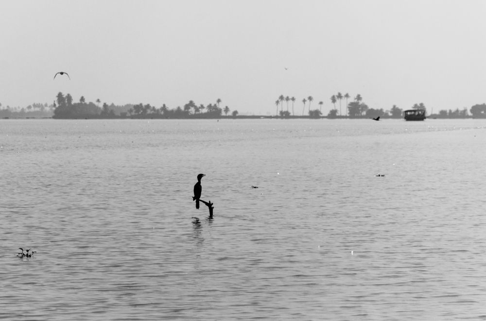 Photograph by Анатолий Румачик