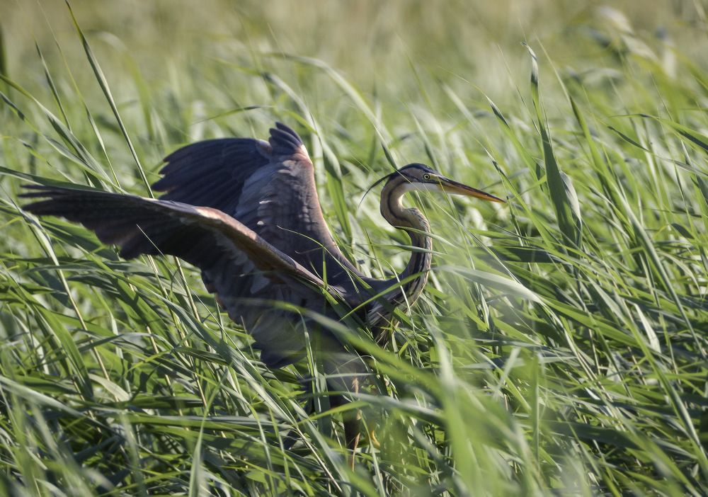 Photograph by Борис Пирог