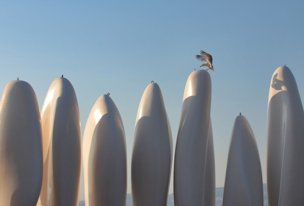 Photograph by Süleyman Ülker