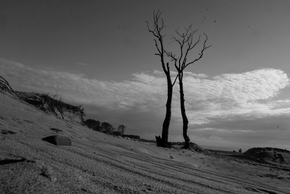 Photograph by Галина Аскольдовна Луковникова